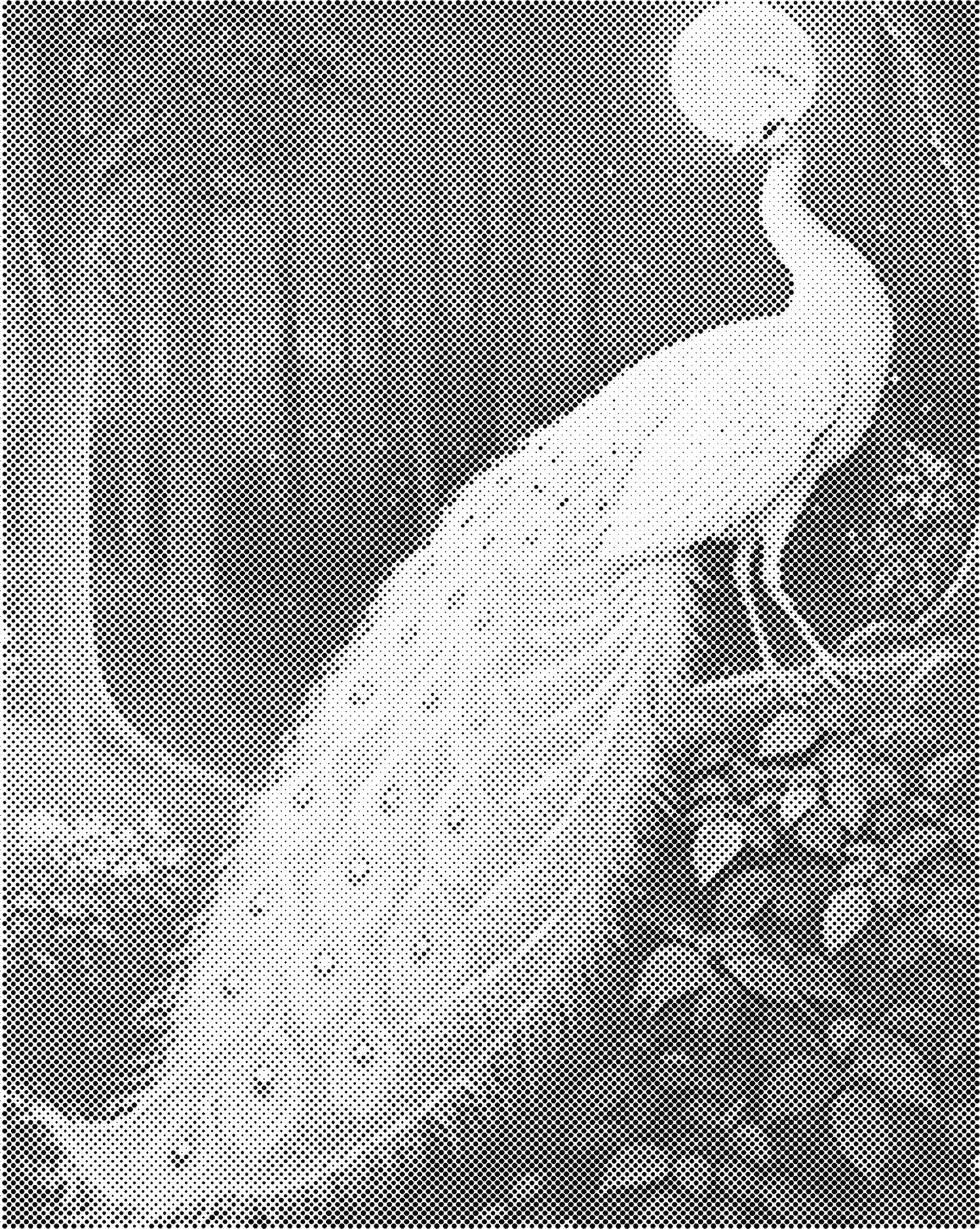 DOT Painting – Dieren op Canvas (40x50cm of 60x75cm) – Met of zonder stiften