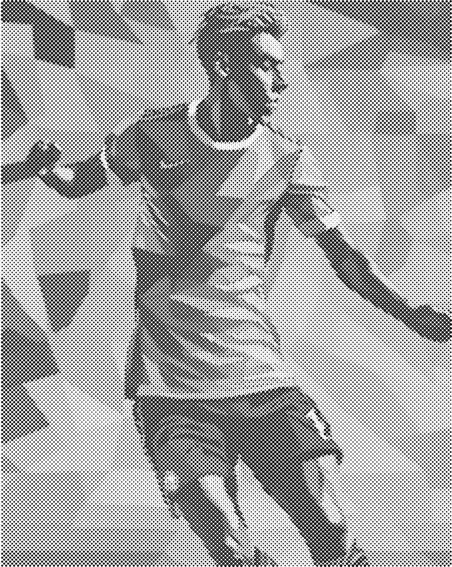 DOT Painting: Eenkleurige Stippelkunst Portretten