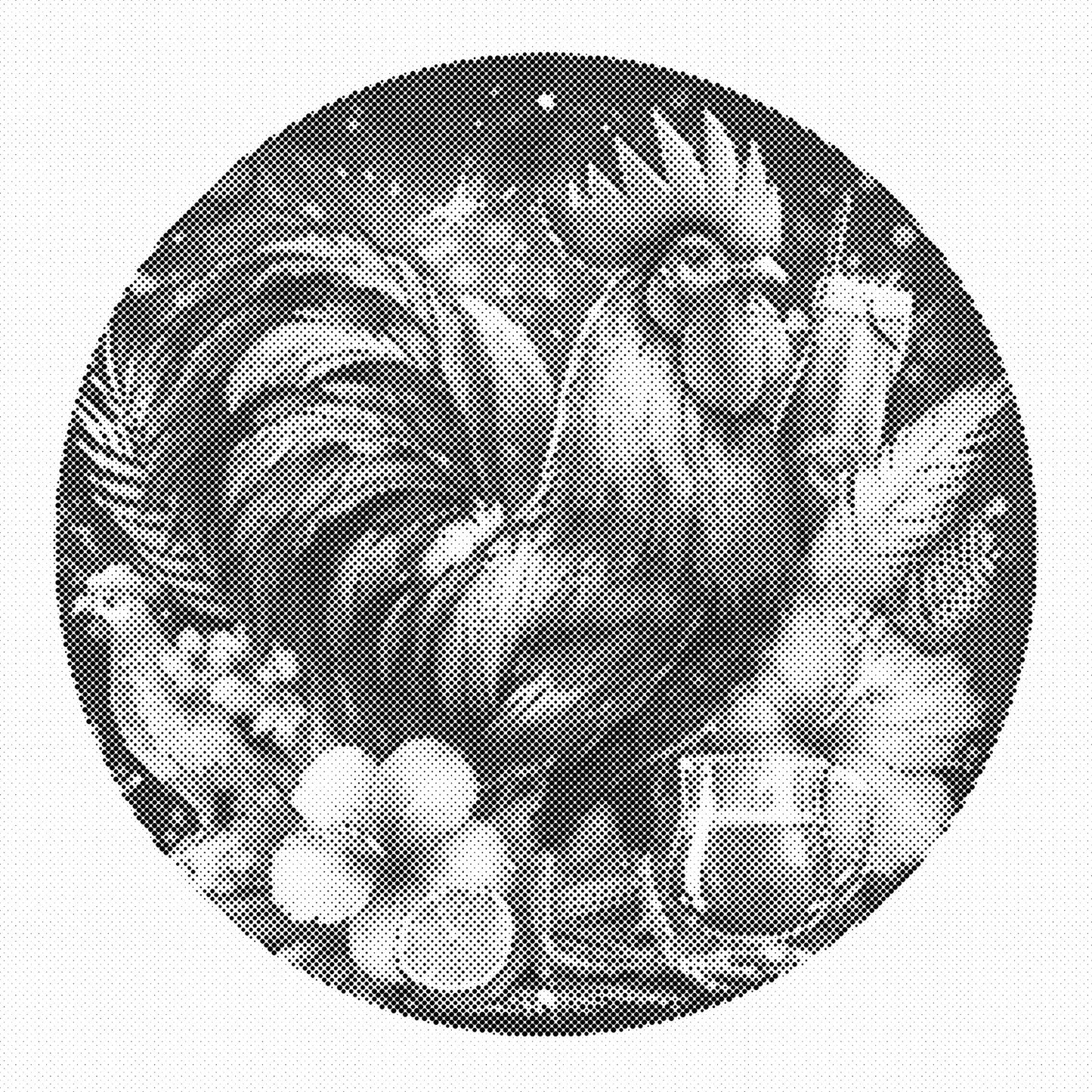 DOT Painting – Kippen & Hanen (40x40cm, 50x50cm of 60x60cm)