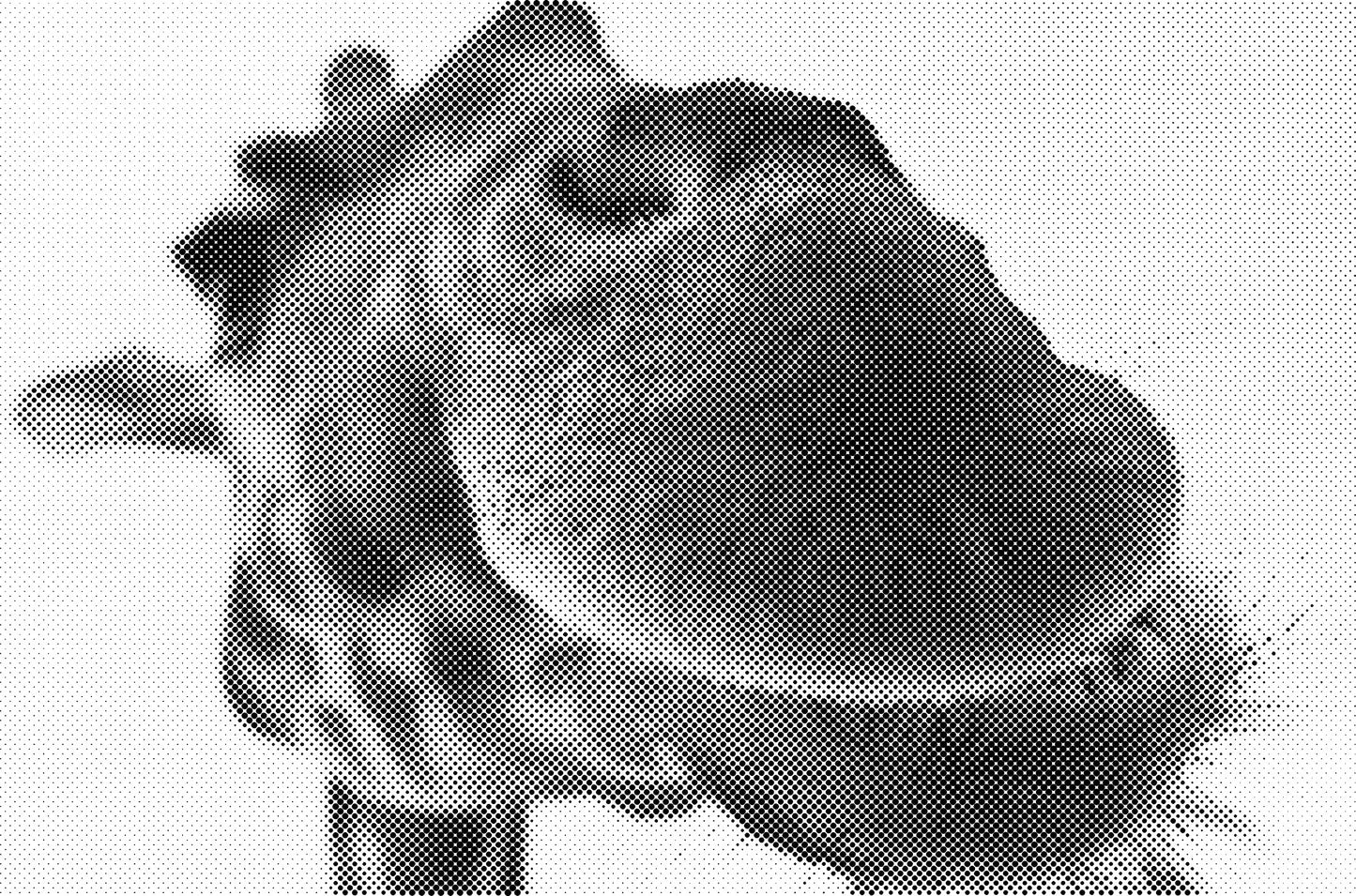 DOT Painting Dieren - (Paarden, Giraf, Vogels) - Verkrijgbaar in 40x60cm, 50x75cm, 60x90cm