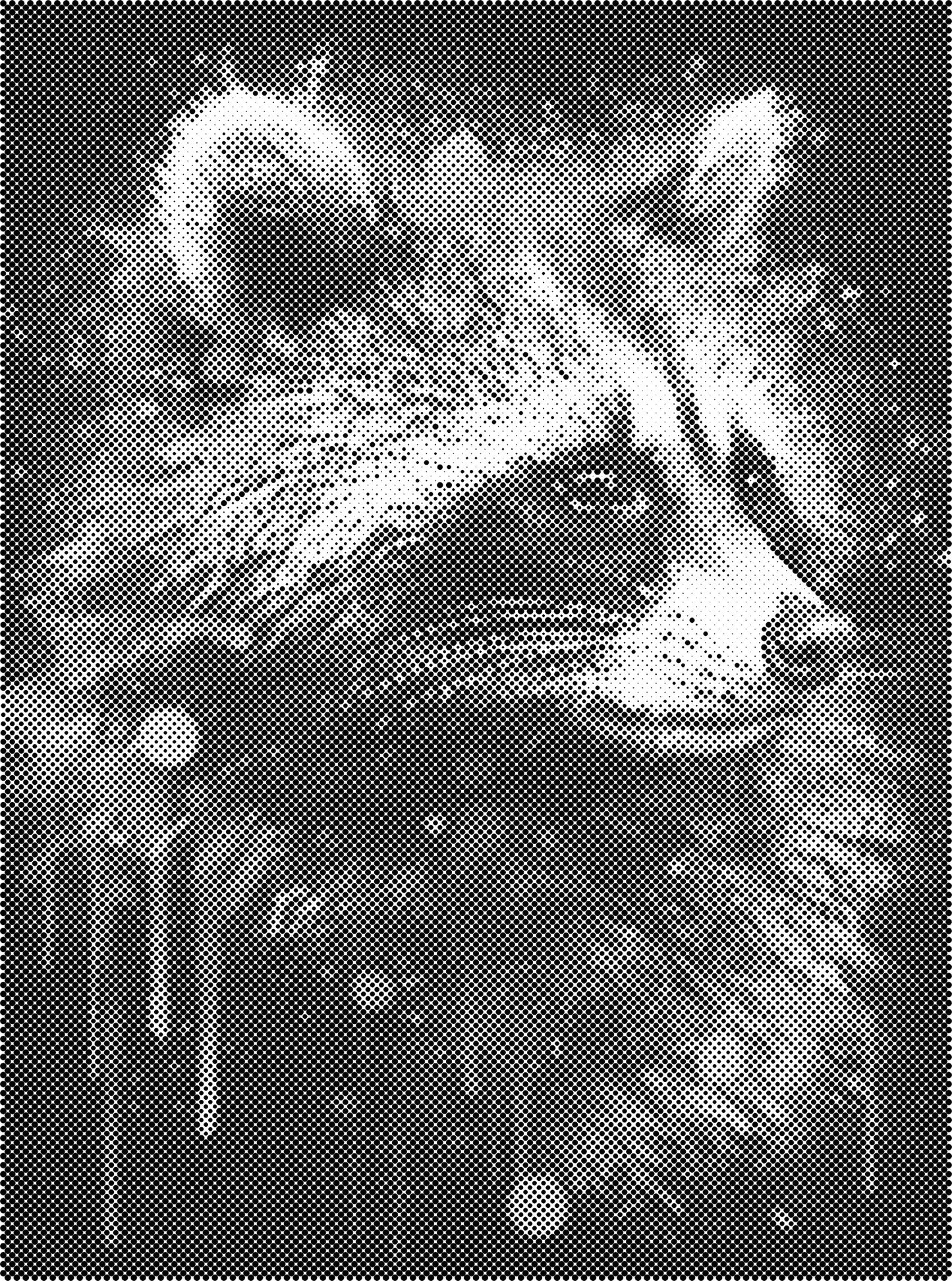 DOT Painting - Stippelkunst met Dierenmotieven
