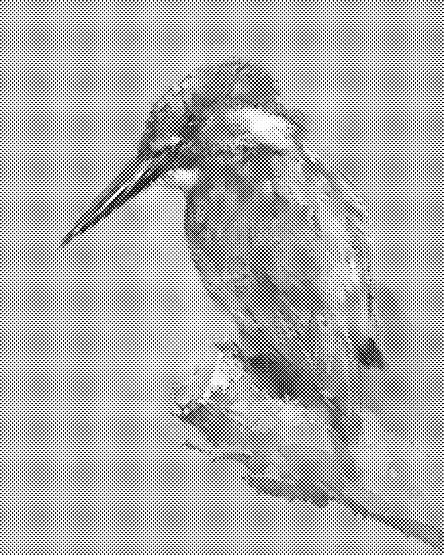 DOT Painting Dieren - Grappige Dieren - 40x50cm of 60x75cm