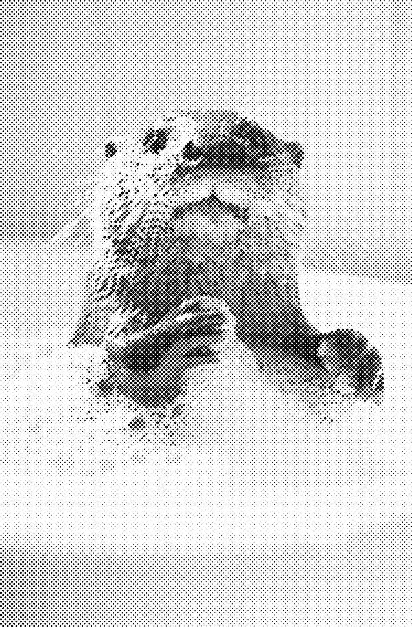 DOT Painting – Dieren in Bad (40x60cm / 50x75cm / 60x90cm)