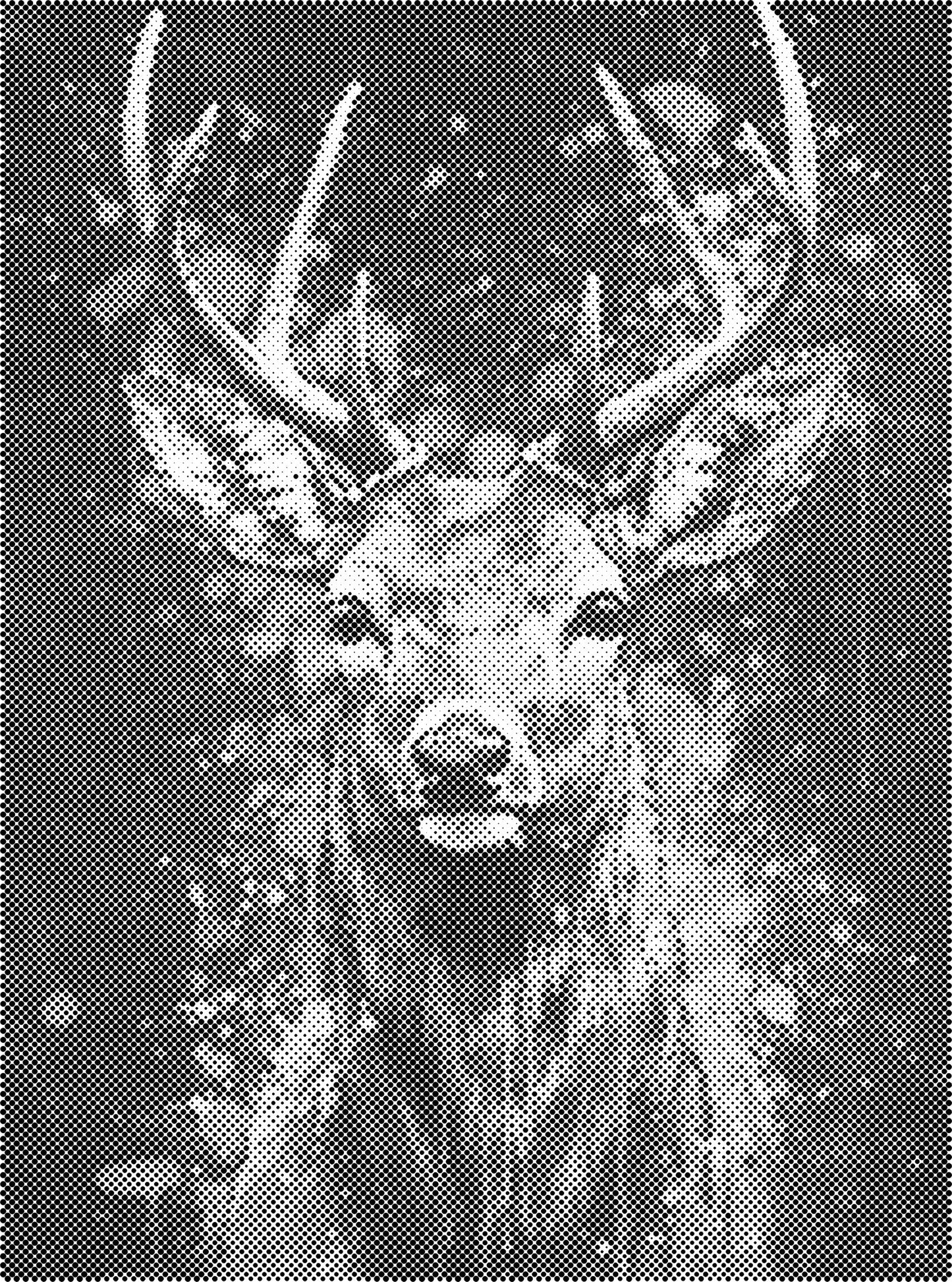 DOT Painting - Stippelkunst met Dierenmotieven