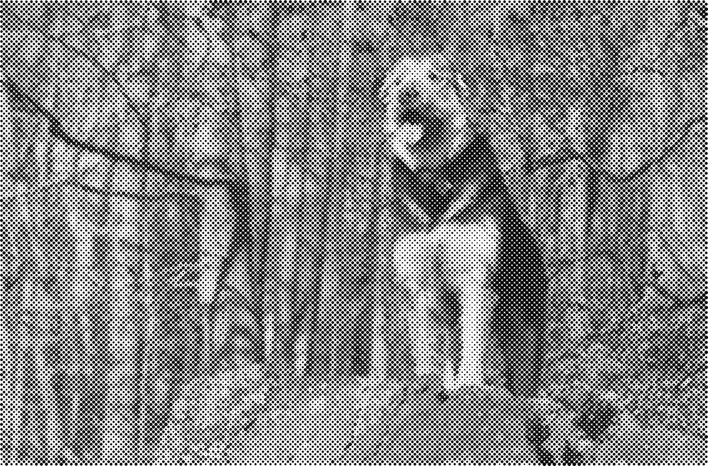 DOT Painting Honden, Eenden en Vogels - Verkrijgbaar in 40x60cm, 50x75cm, en 60x90cm