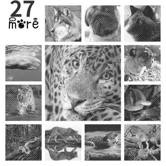 DOT Painting - Een Kleur Stippelkunst met Dieren