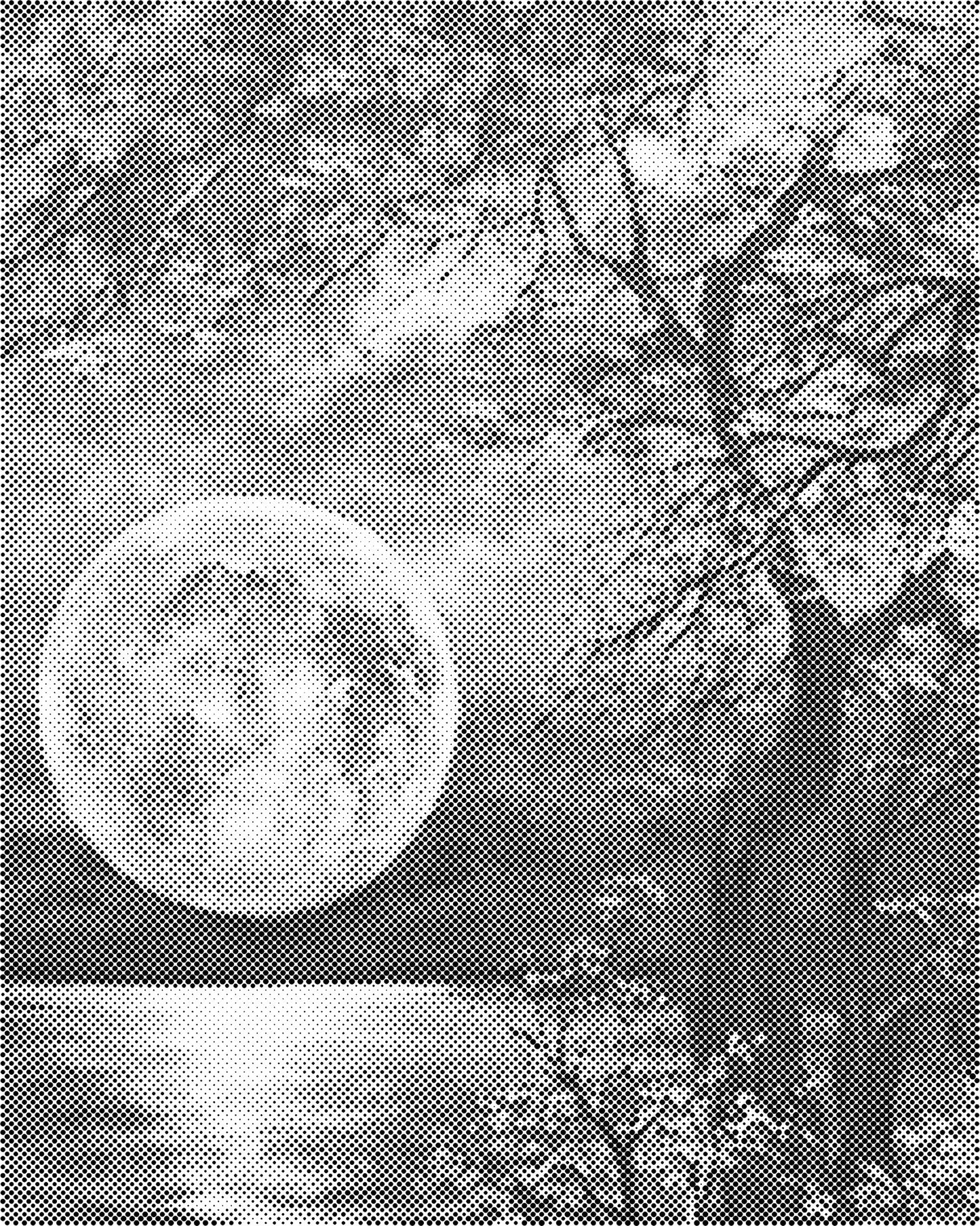 DOT Painting Landschappen - Voorbedrukt Canvas (40x50 cm of 60x75 cm)