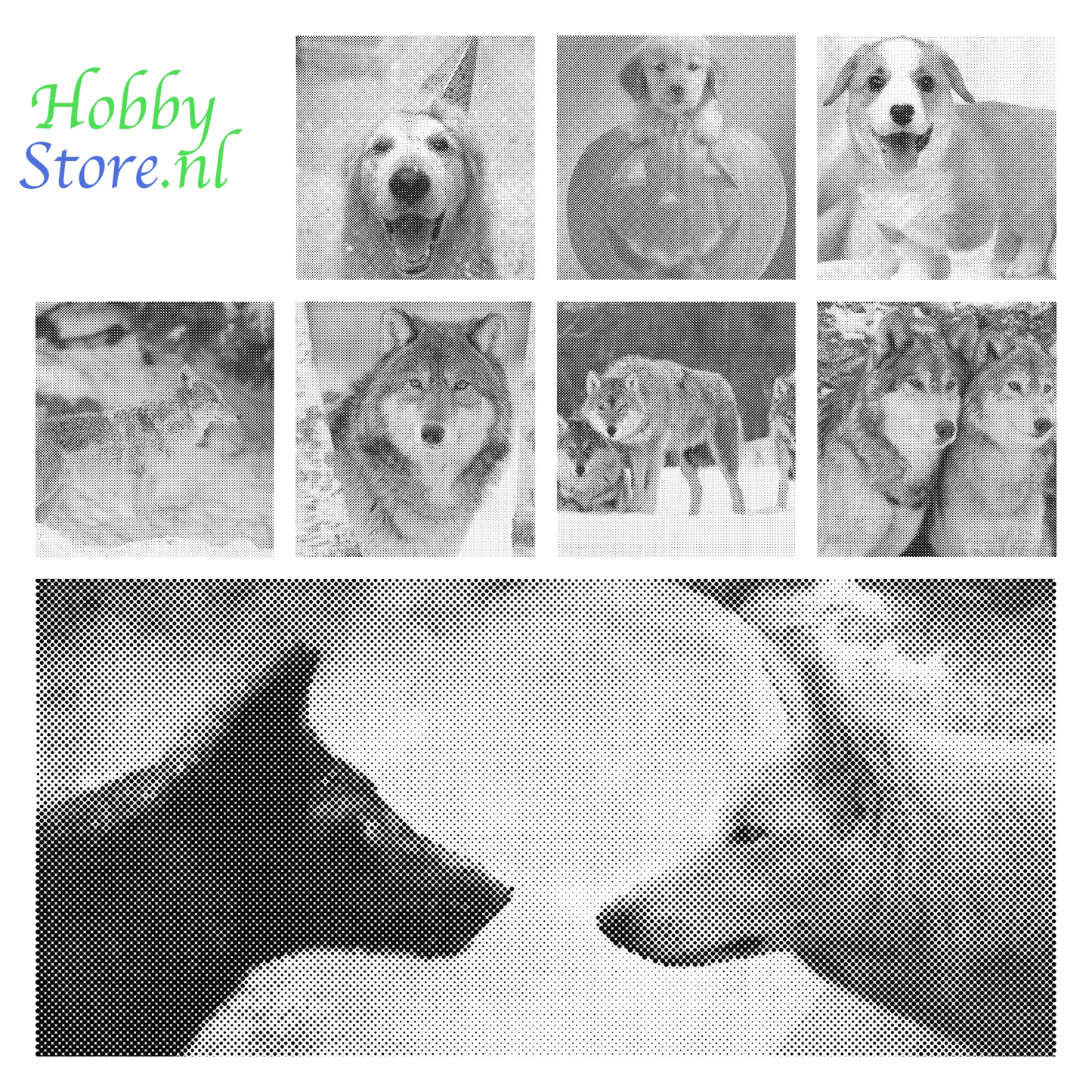 DOT Painting - Wolven en Honden