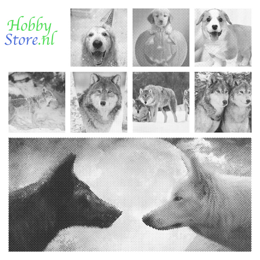 DOT Painting - Wolven en Honden