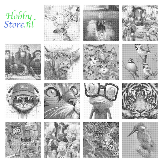 DOT Painting Dieren - Grappige Dieren - 40x50cm of 60x75cm