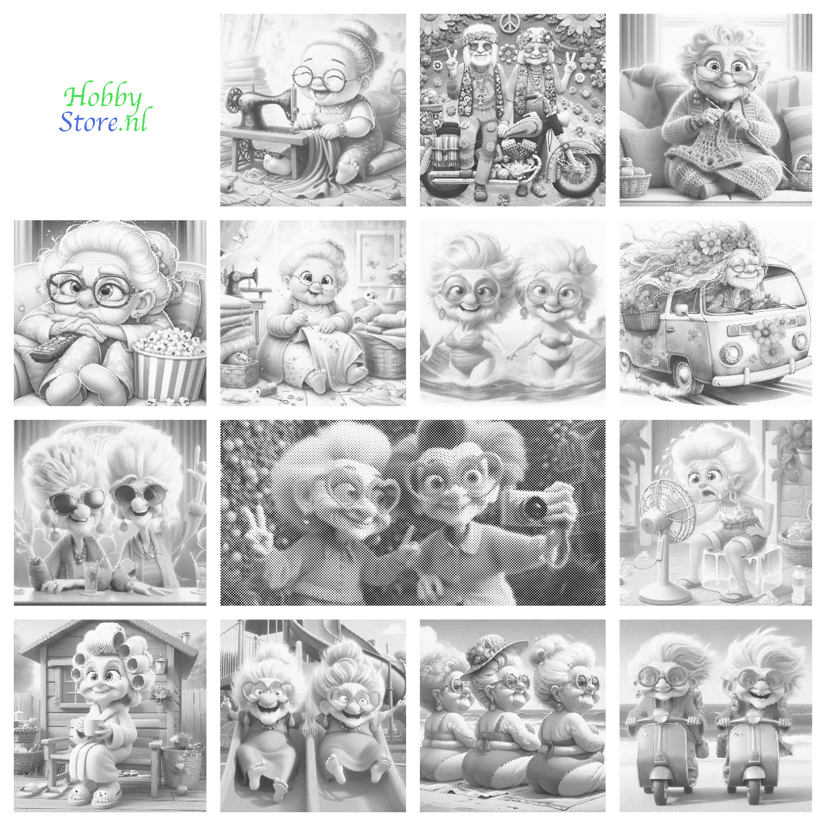 DOT Painting - Gekke Oma's (40x40cm t/m 60x60cm) – Met of zonder stiften