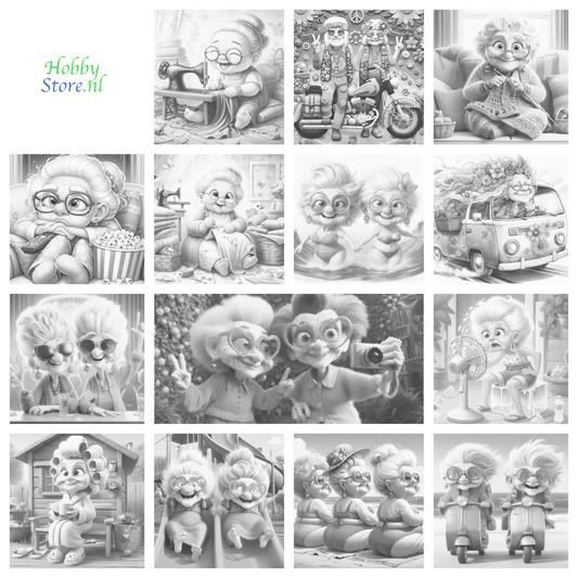 DOT Painting - Gekke Oma's (40x40cm t/m 60x60cm) – Met of zonder stiften