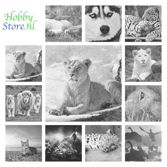 DOT Painting Big Cats - Leeuw, Tijger en Luipaard