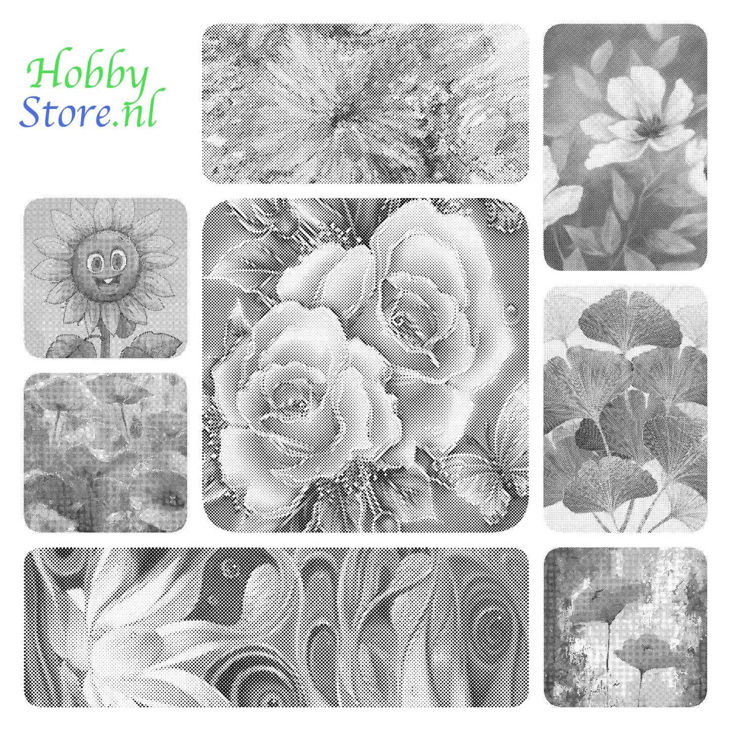 DOT Painting - Bloemen - stippelschilderij