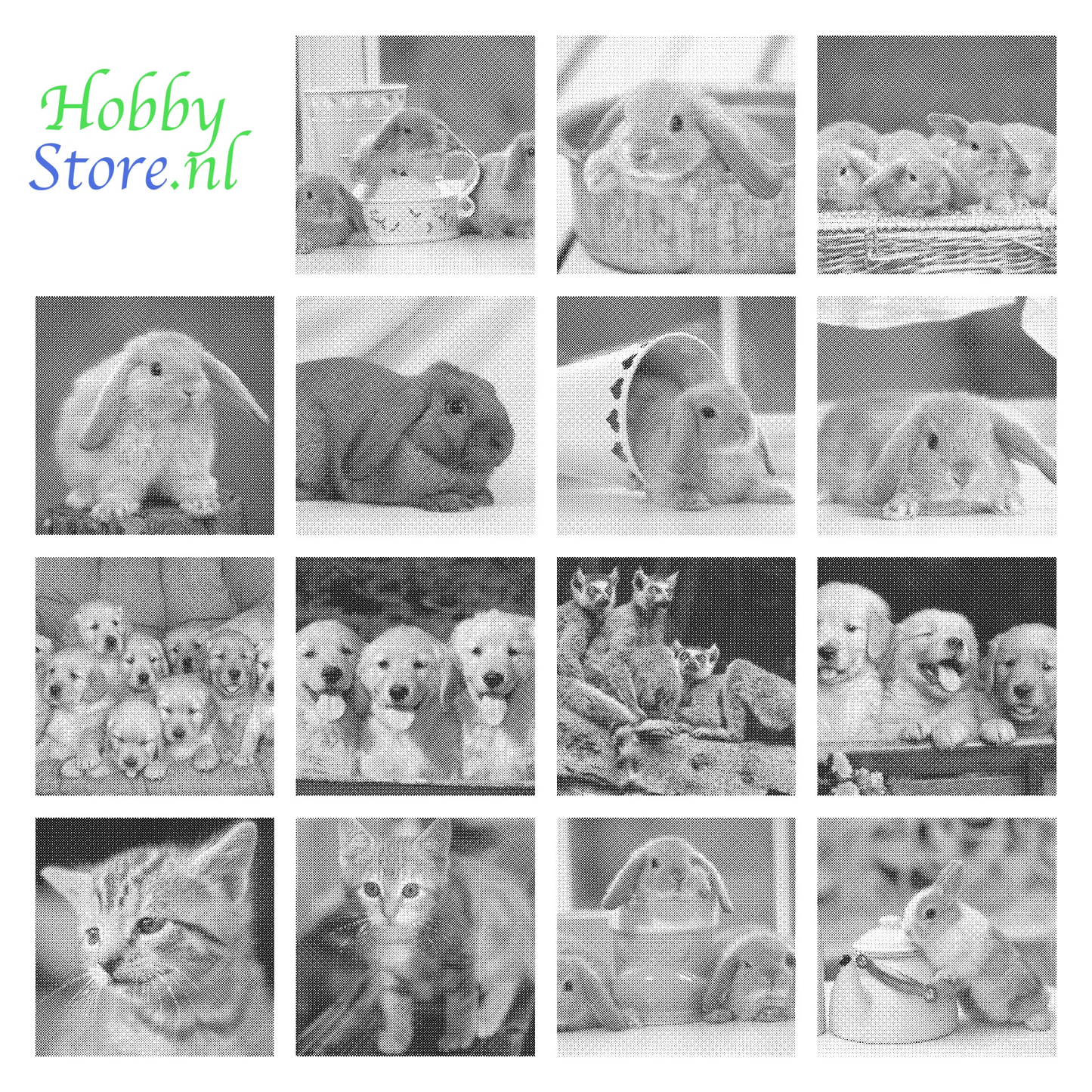 DOT Painting Dieren - Konijnen, Puppies en Katten - Verkrijgbaar in 40x60cm, 50x75cm en 60x90cm