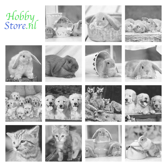 DOT Painting Dieren - Konijnen, Puppies en Katten - Verkrijgbaar in 40x60cm, 50x75cm en 60x90cm