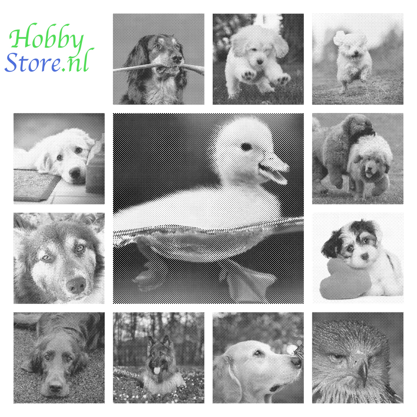 DOT Painting Honden, Eenden en Vogels - Verkrijgbaar in 40x60cm, 50x75cm, en 60x90cm