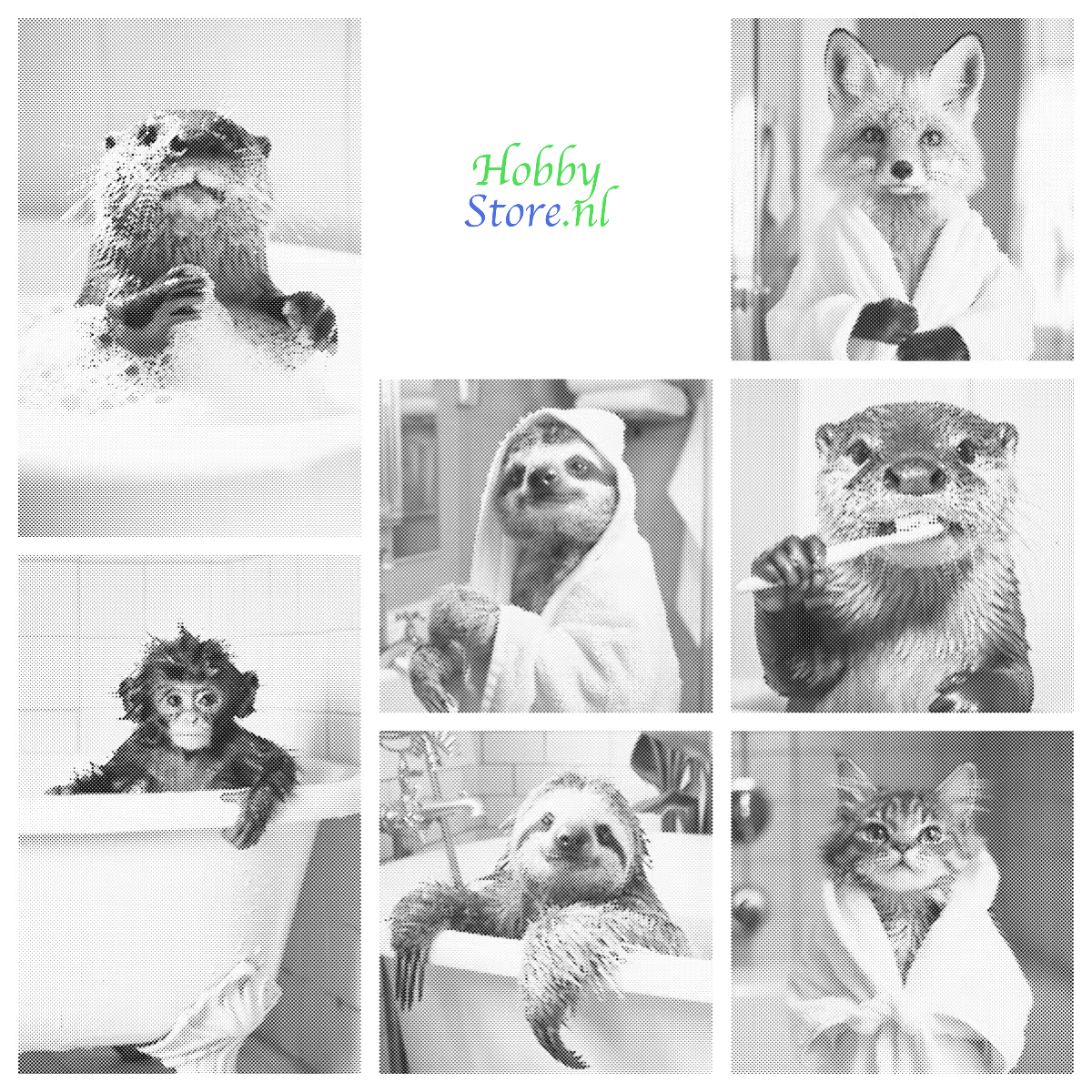 DOT Painting – Dieren in Bad (40x60cm / 50x75cm / 60x90cm)