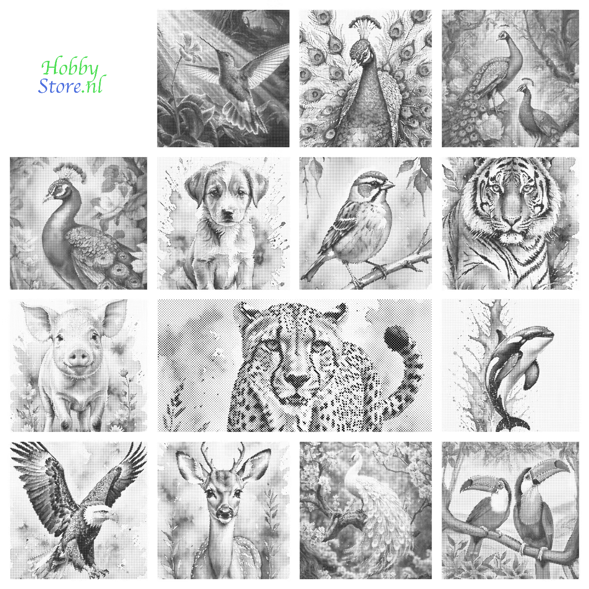 DOT Painting – Dieren op Canvas (40x50cm of 60x75cm) – Met of zonder stiften