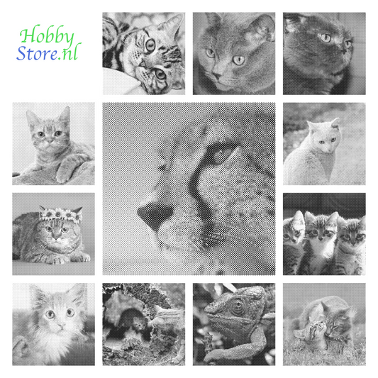 DOT Painting Katten - Verkrijgbaar in 40x60cm, 50x75cm en 60x90cm