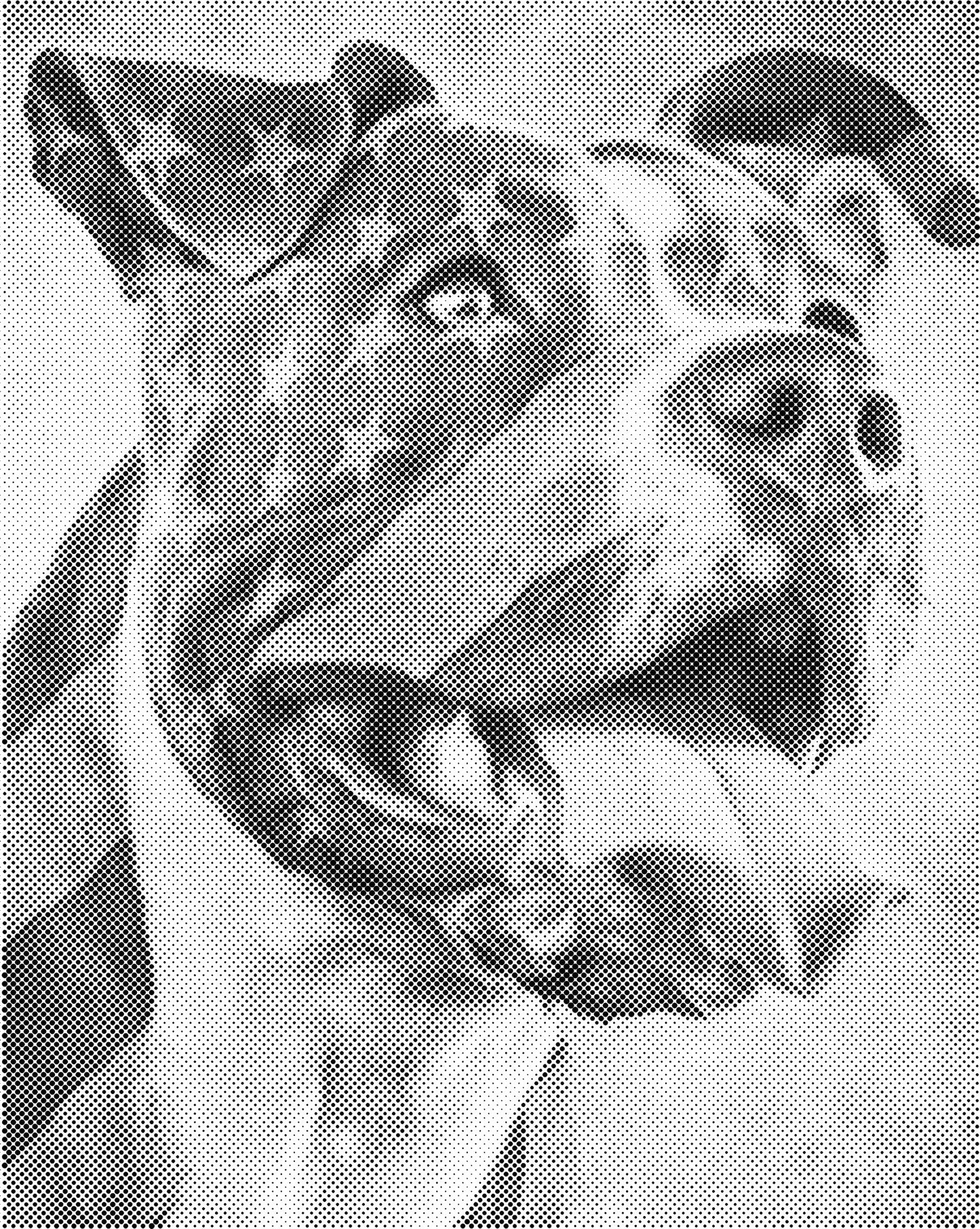 DOT Painting - Dieren op Canvas (40x50cm / 60x75cm)