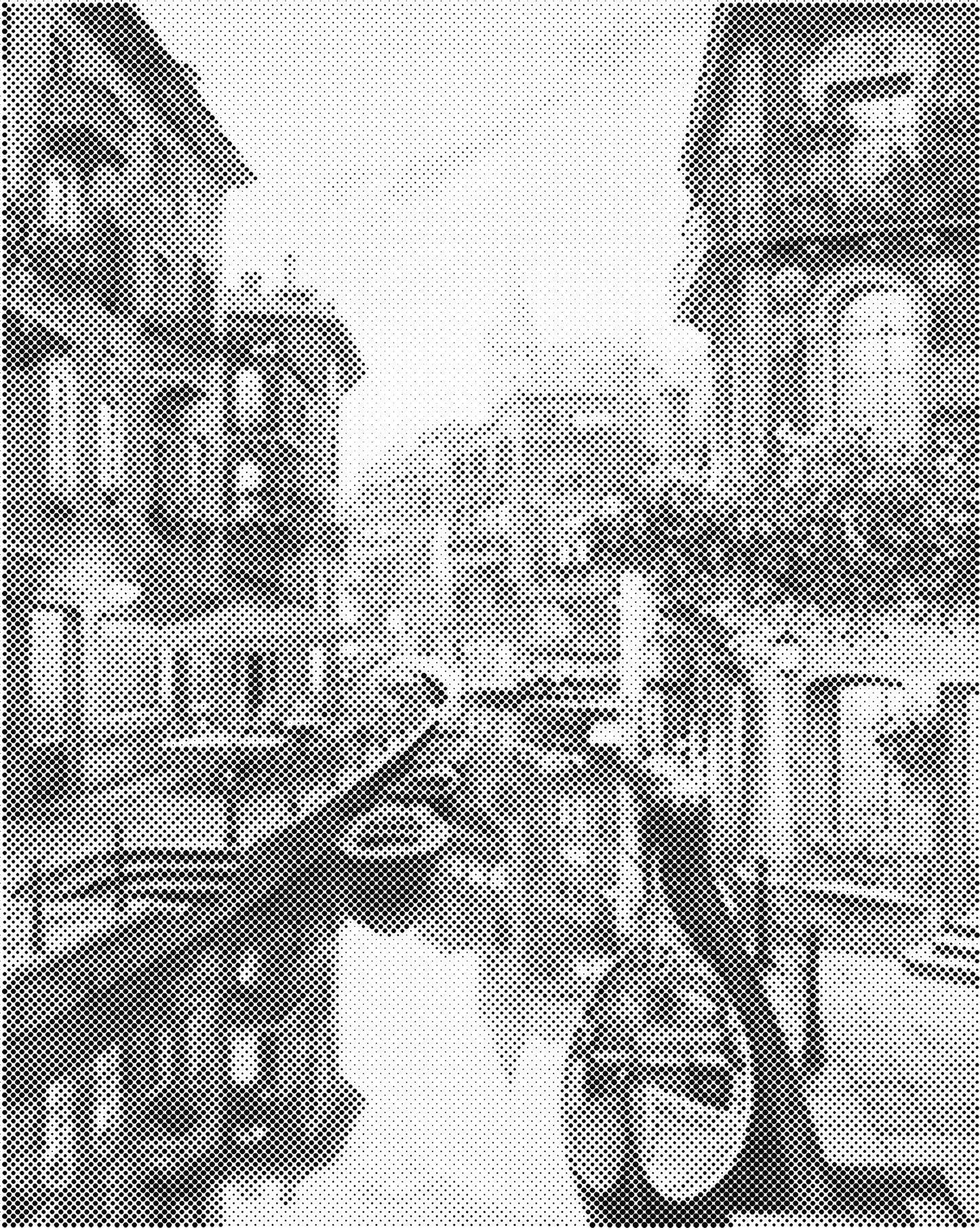 DOT Painting Landschappen - Voorbedrukt Canvas (40x50 cm of 60x75 cm)