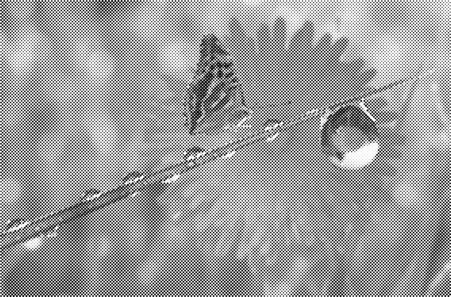 DOT Painting Dieren - Katten en Vogels