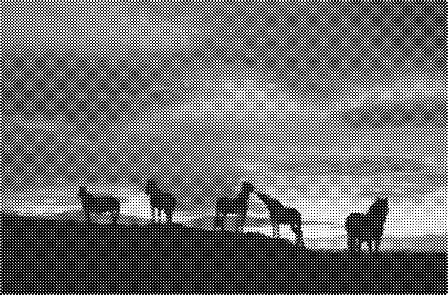 DOT Painting Dieren - (Paarden, Giraf, Vogels) - Verkrijgbaar in 40x60cm, 50x75cm, 60x90cm