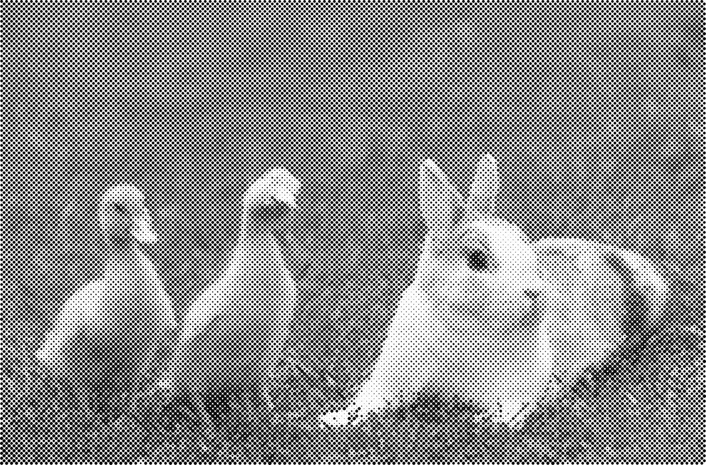 DOT Painting Dieren - Konijnen, Puppies en Katten - Verkrijgbaar in 40x60cm, 50x75cm en 60x90cm