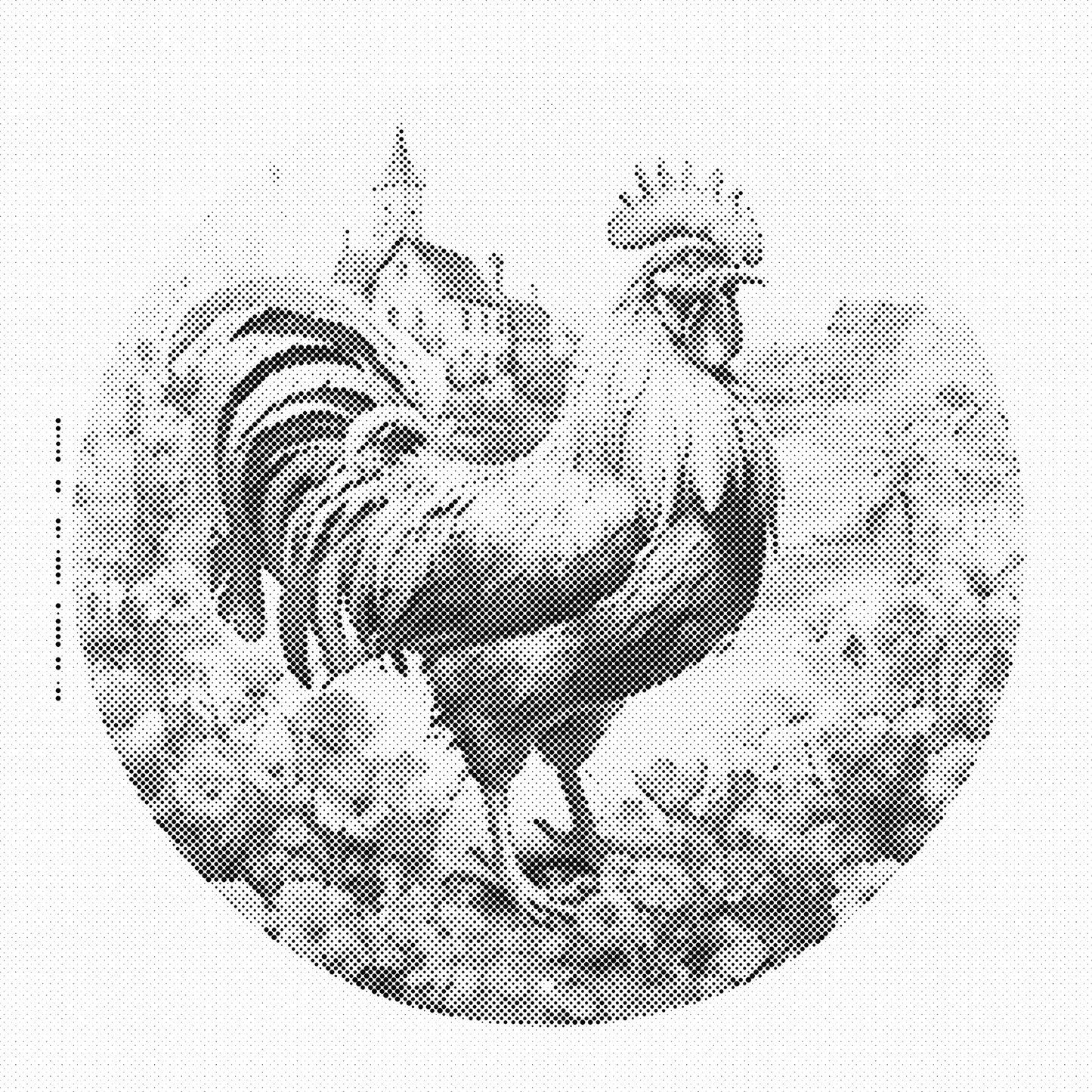 DOT Painting – Kippen & Hanen (40x40cm, 50x50cm of 60x60cm)