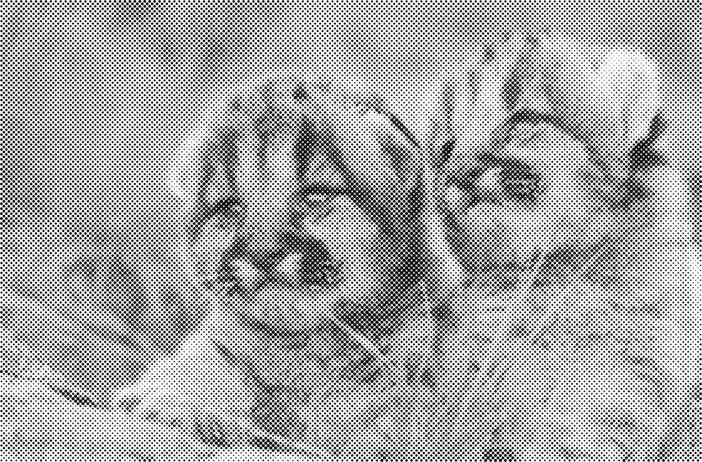 DOT Painting Kattenrassen