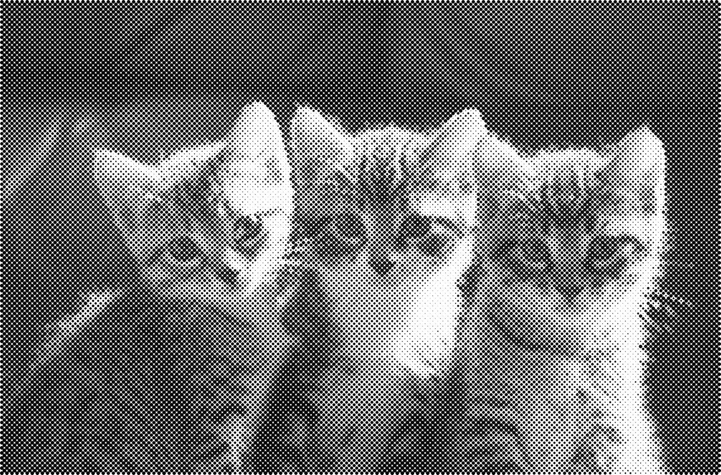 DOT Painting Katten - Verkrijgbaar in 40x60cm, 50x75cm en 60x90cm