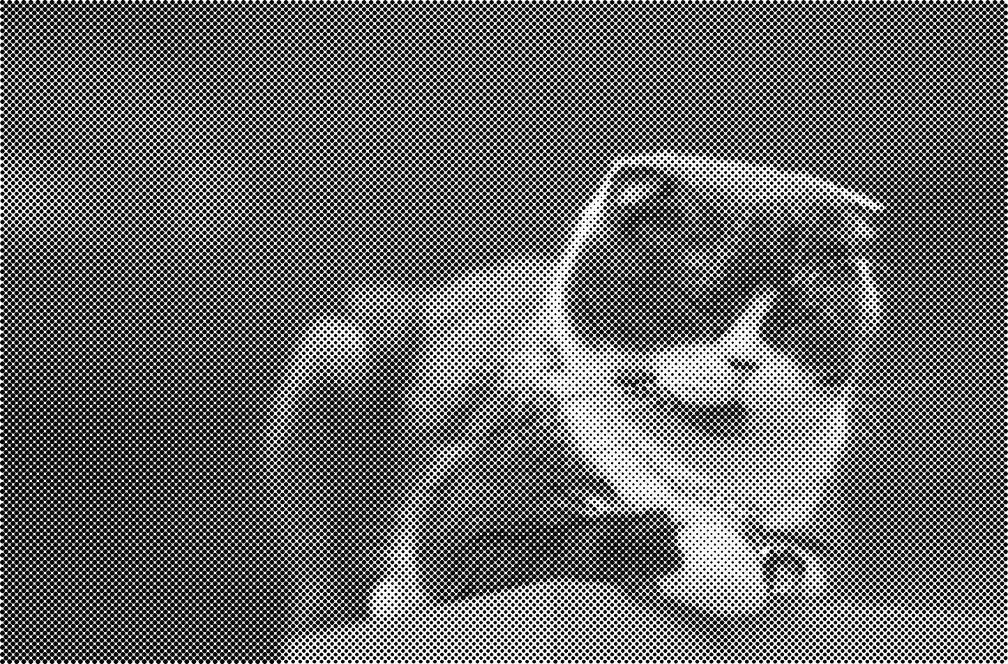 DOT Painting Dieren - Katten en Vogels