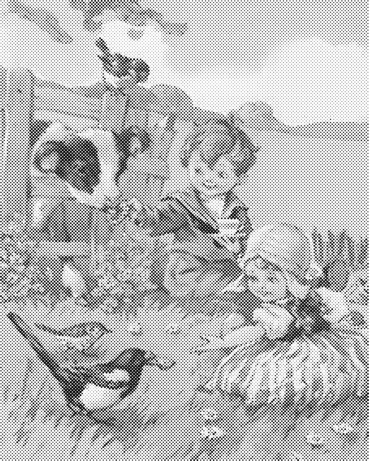 DOT Painting: Eenkleurige Stippelkunst Portretten