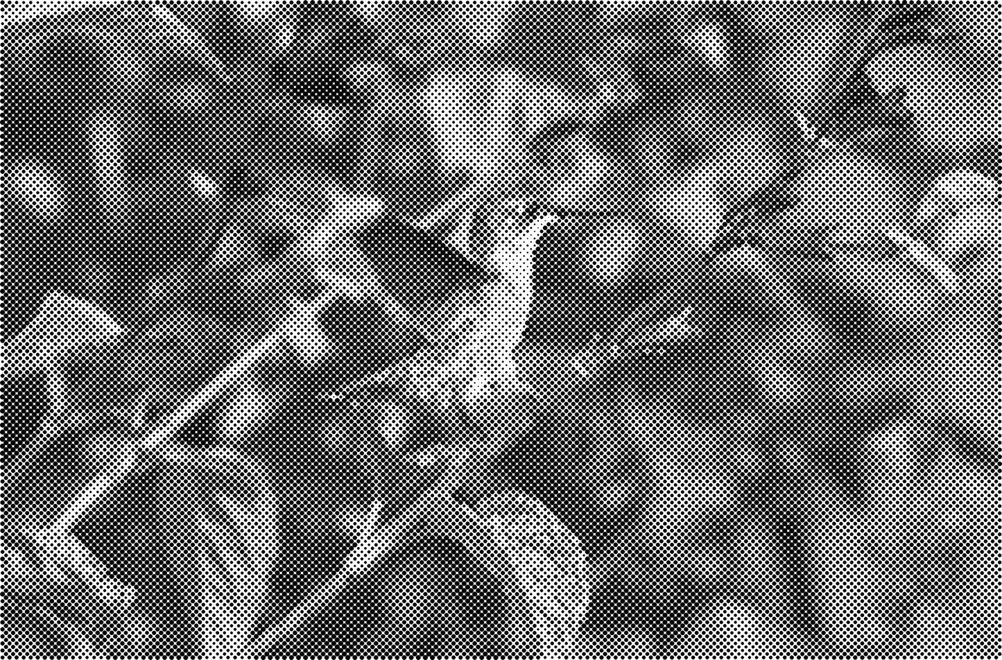 DOT Painting Dieren - (Paarden, Giraf, Vogels) - Verkrijgbaar in 40x60cm, 50x75cm, 60x90cm