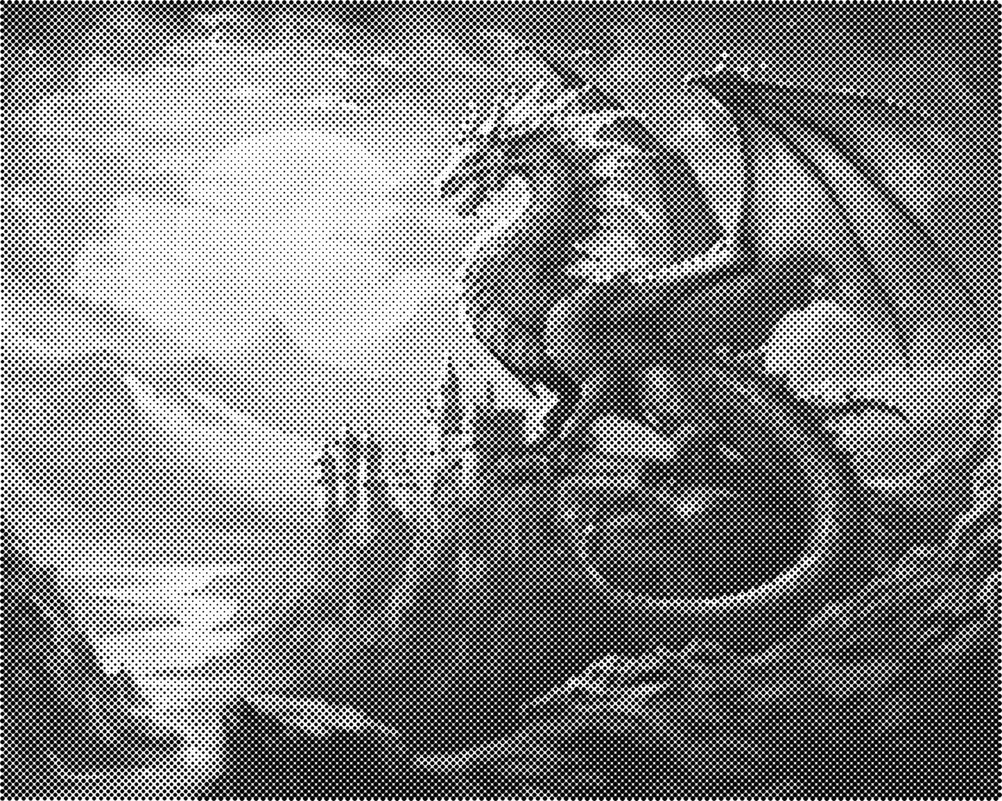 DOT Painting - Dieren op Canvas (40x50cm / 60x75cm)