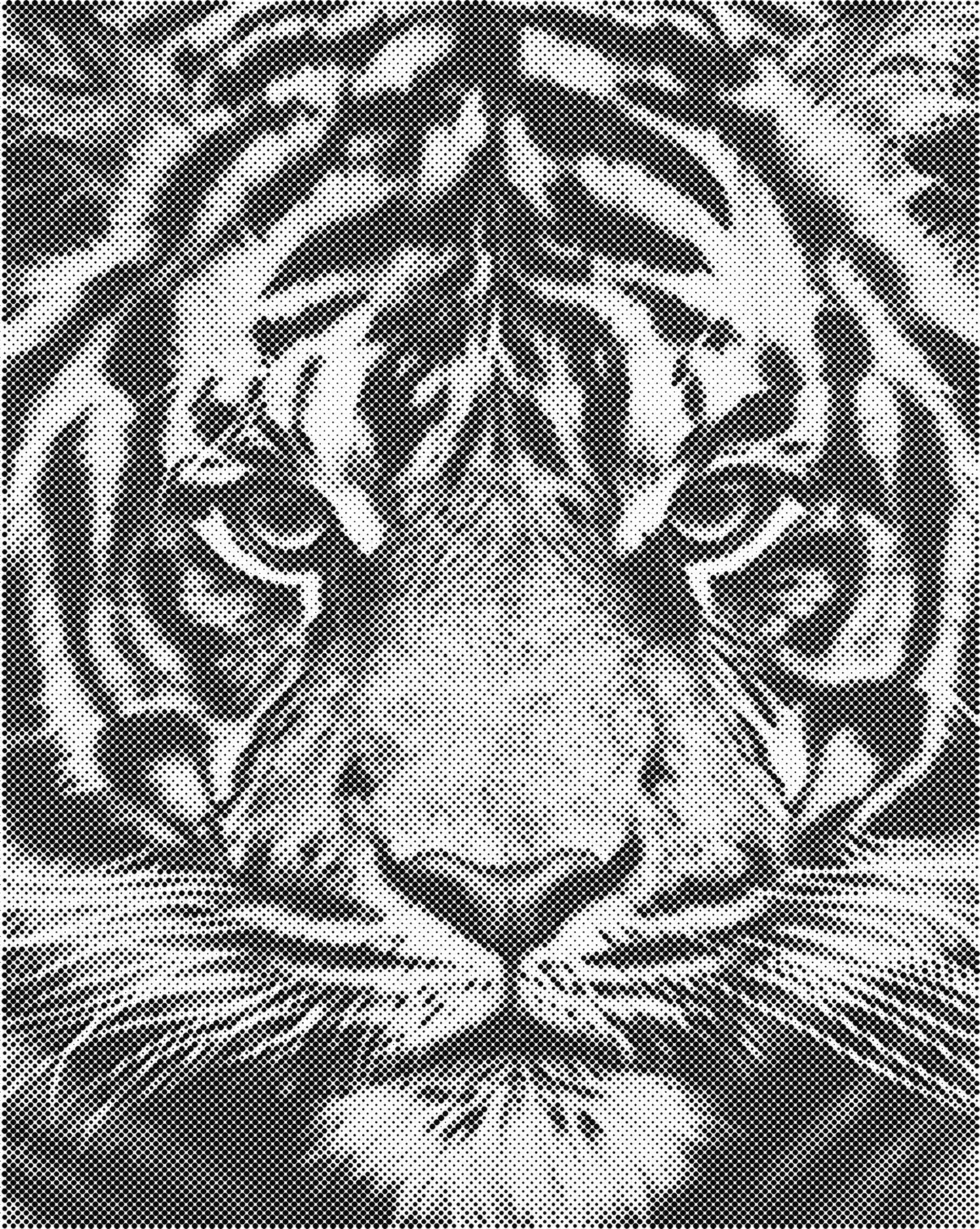 DOT Painting Dieren - Grappige Dieren - 40x50cm of 60x75cm