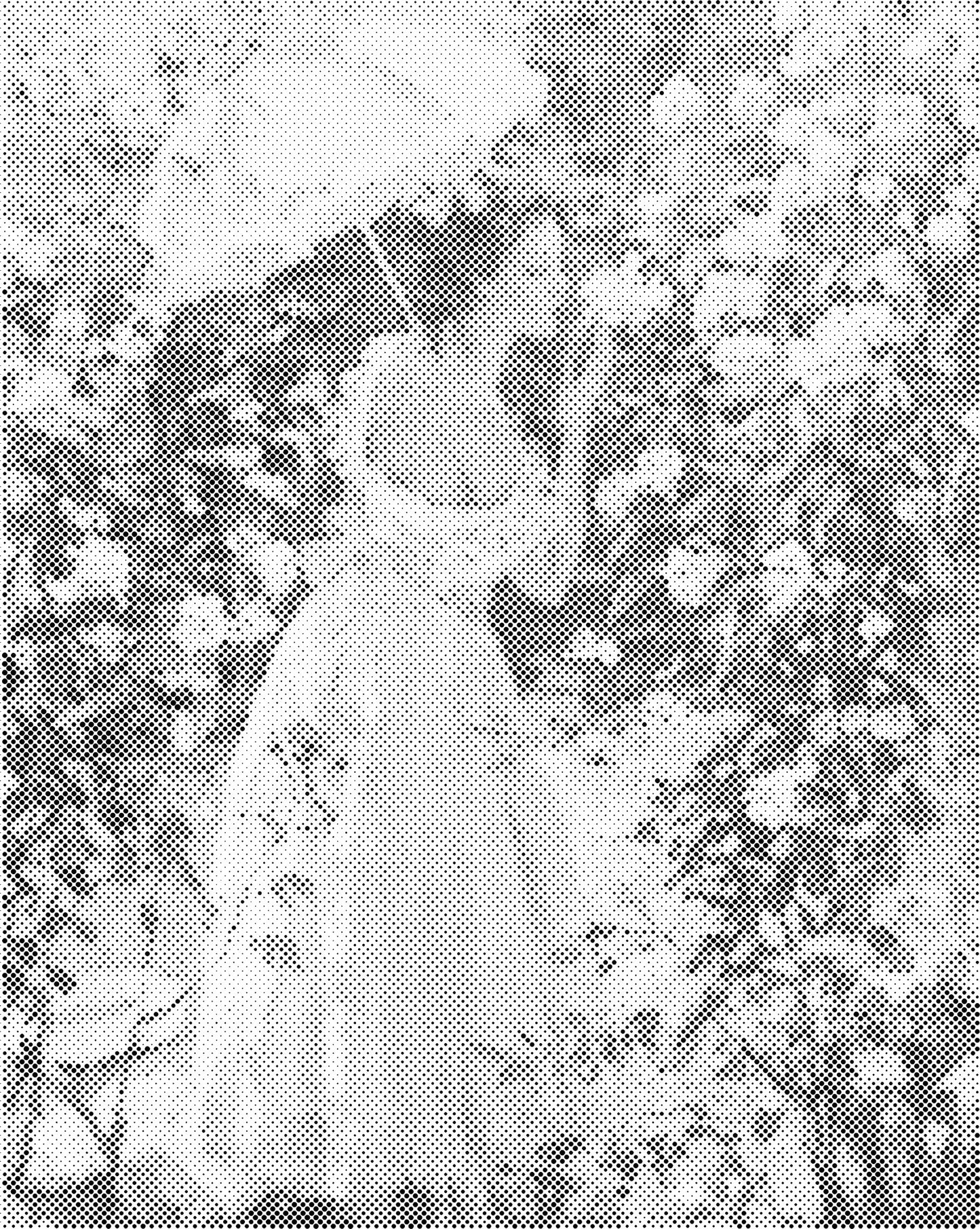 DOT Painting – Vrouwen | 40x50cm of 60x75cm