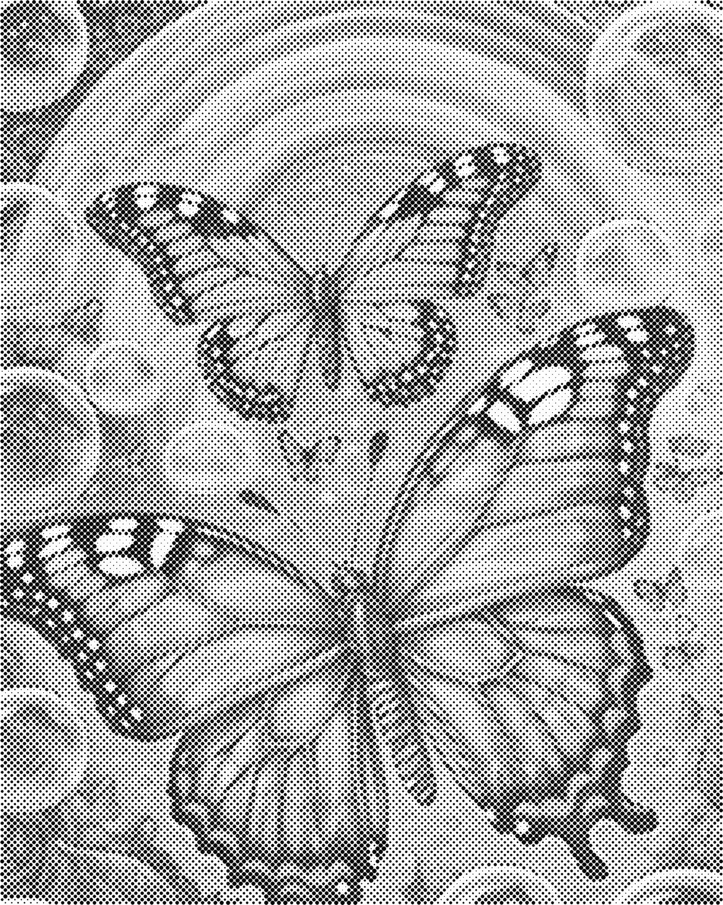 DOT Painting 40x50cm Magical Butterflies - Eén Kleur Stippelkunst