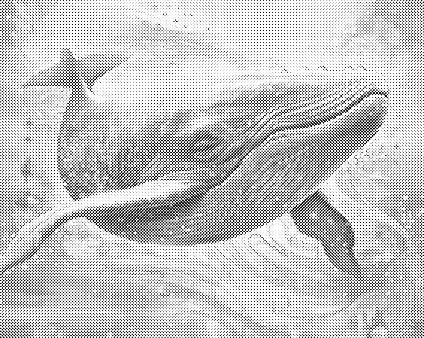 DOT Painting - Dieren op Canvas (40x50cm / 60x75cm)