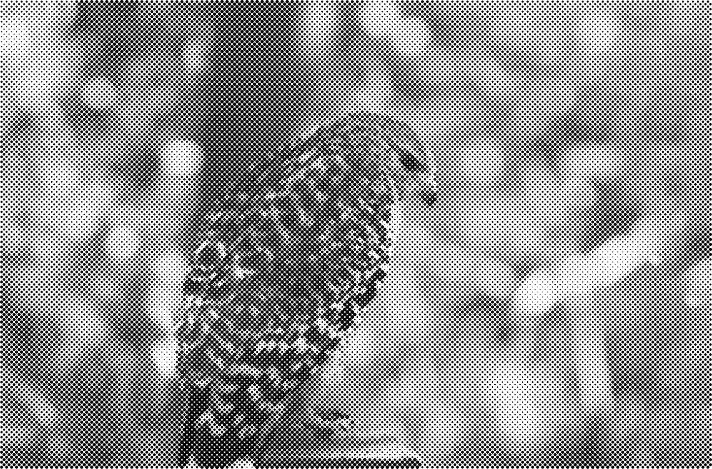 DOT Painting Dieren - (Paarden, Giraf, Vogels) - Verkrijgbaar in 40x60cm, 50x75cm, 60x90cm