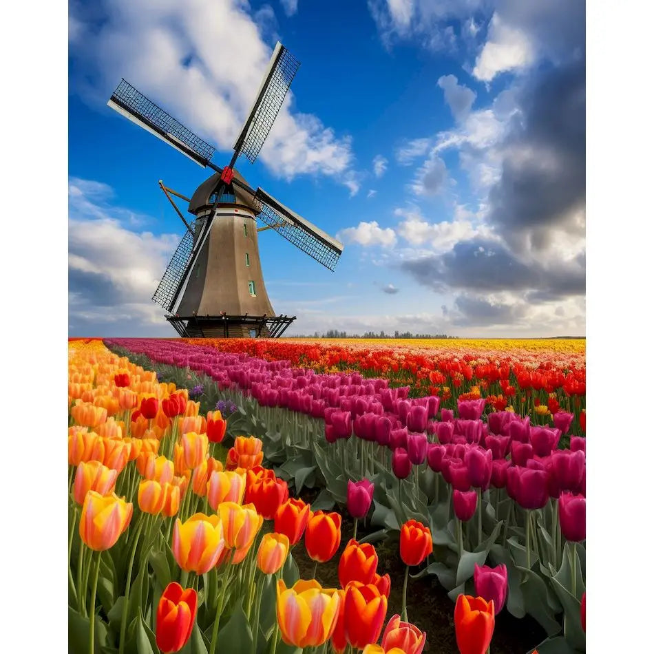 Diamond Painting Landschap ronde of vierkante steentjes Bosdecor - DZDP70028