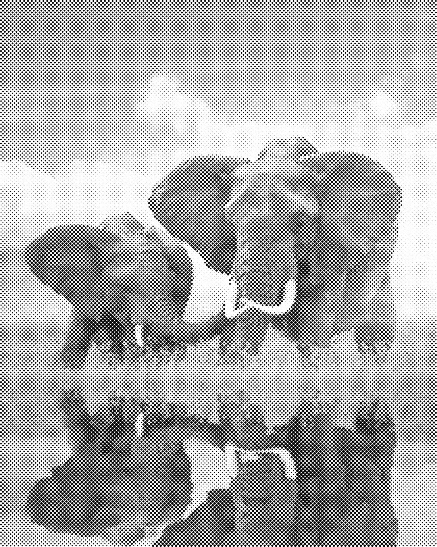 DOT Painting 40x50cm - Olifanten Design