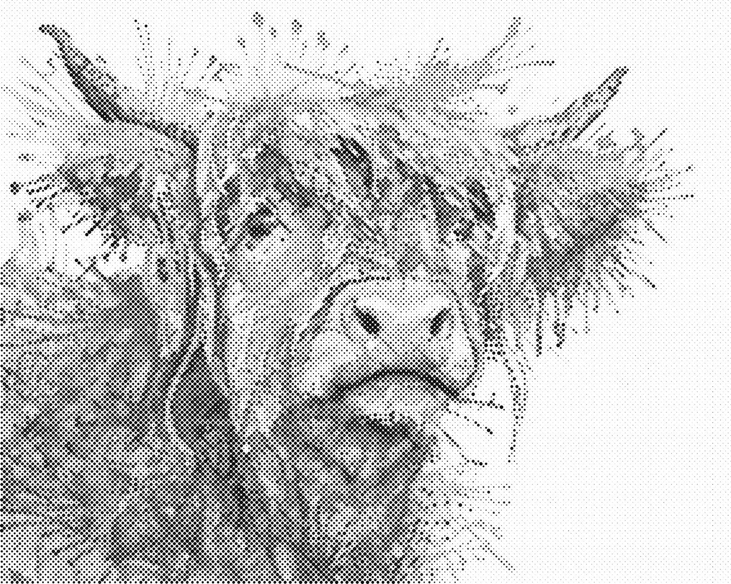 DOT Painting Dieren - Grappige Dieren - 40x50cm of 60x75cm