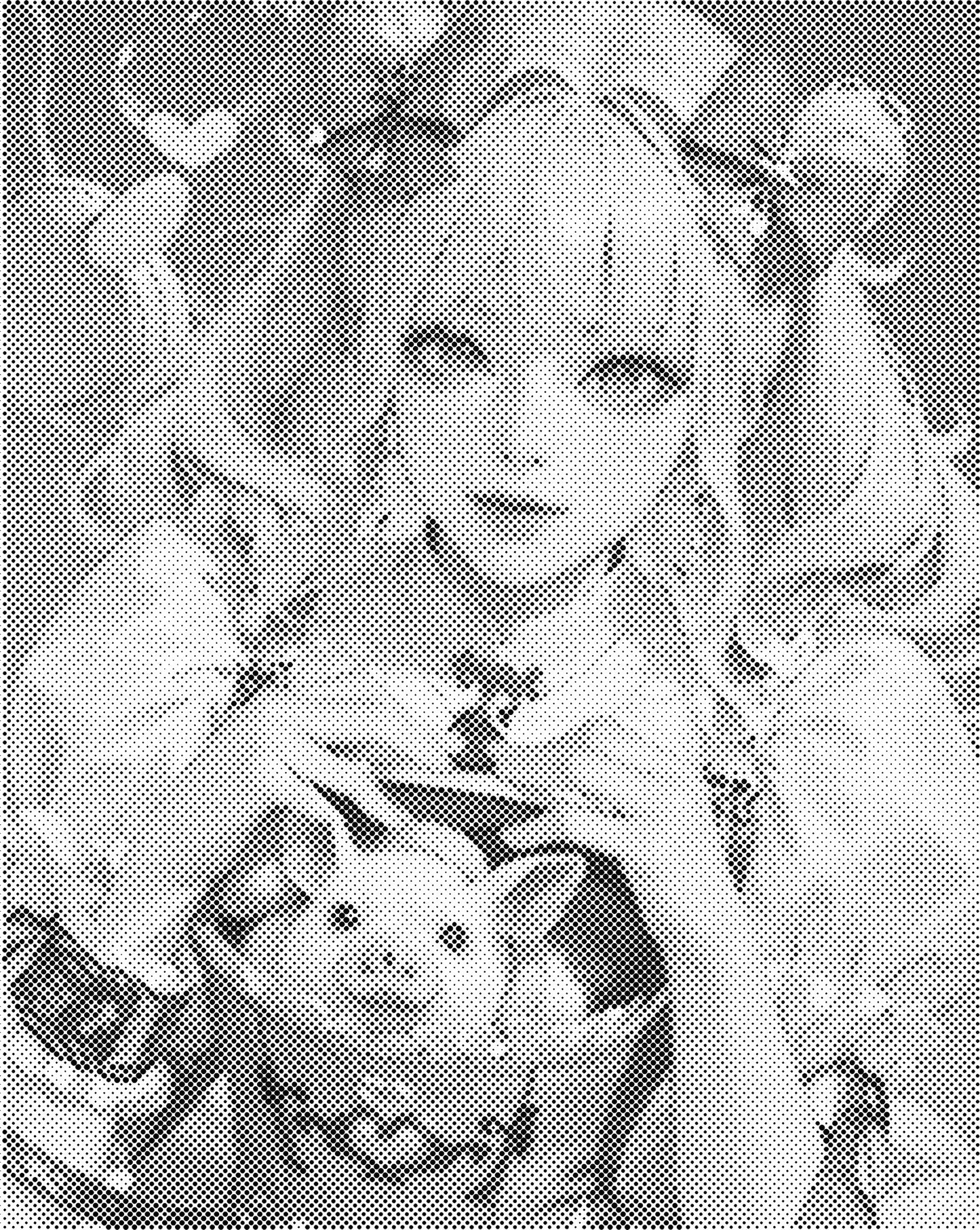 DOT Painting – Vrouwen | 40x50cm of 60x75cm