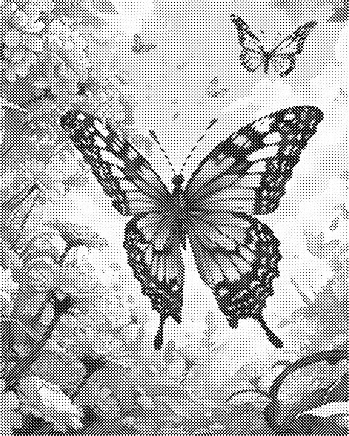 DOT Painting Vlinder - Magical Insects