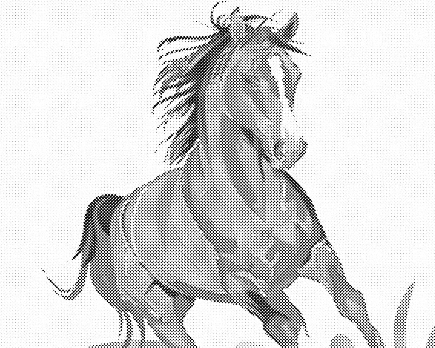 DOT Painting - Dieren op Canvas (40x50cm / 60x75cm)