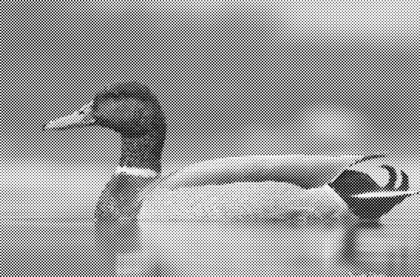 DOT Painting Honden, Eenden en Vogels - Verkrijgbaar in 40x60cm, 50x75cm, en 60x90cm