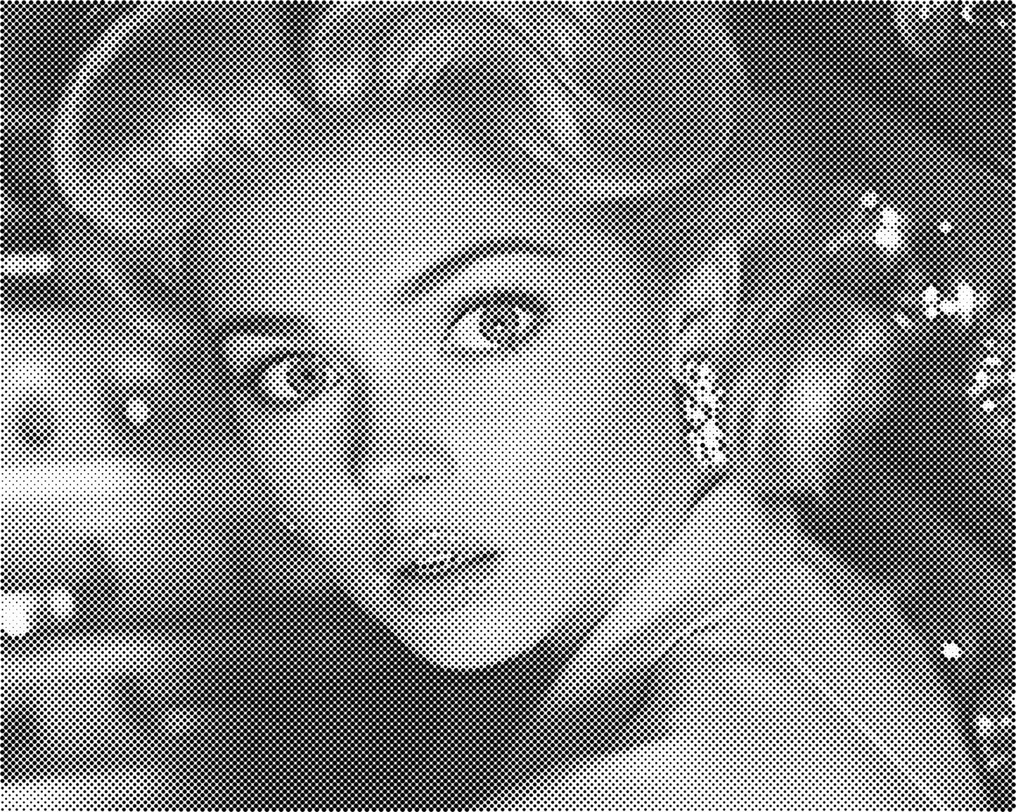 DOT Painting Portret – Stippenkunst op Canvas (40x50cm of 60x75cm)