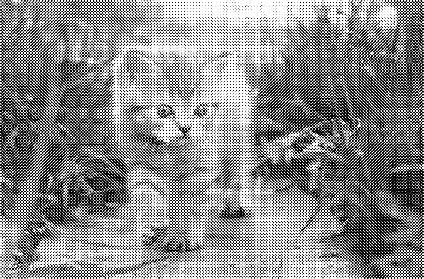 DOT Painting Katten - Verkrijgbaar in 40x60cm, 50x75cm en 60x90cm